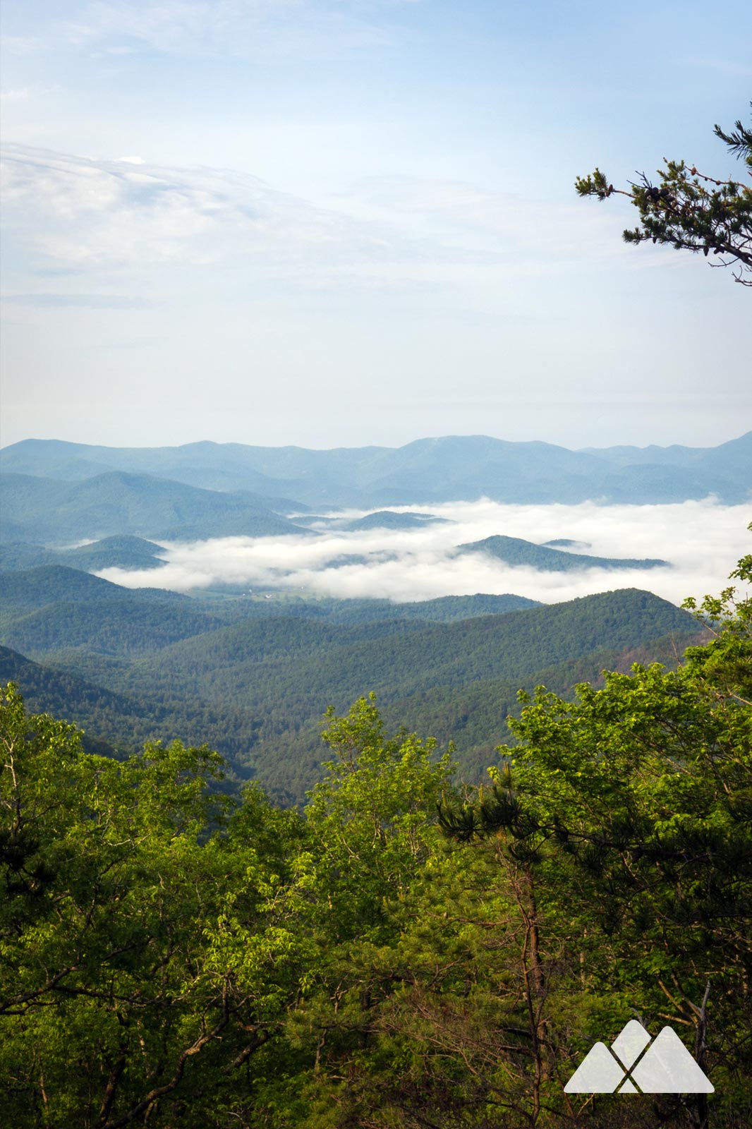 Arkaquah Trail at Brasstown Bald hiking to Track Rock Gap