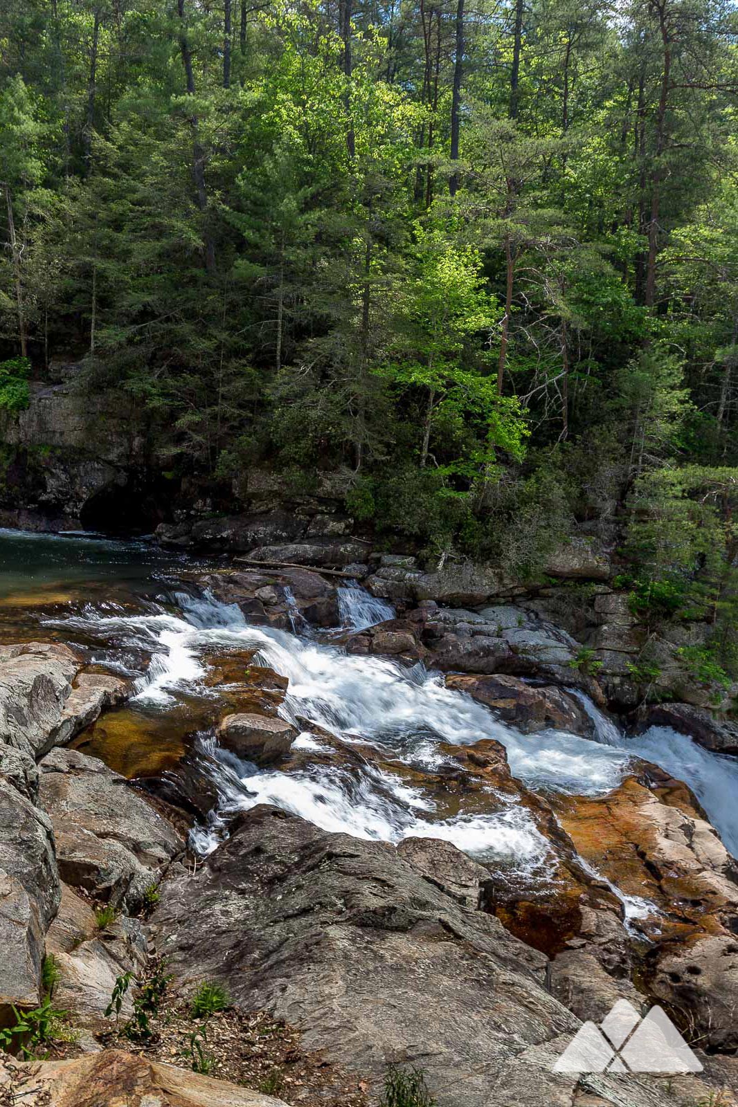 Cohutta Wilderness hiking & backpacking guide