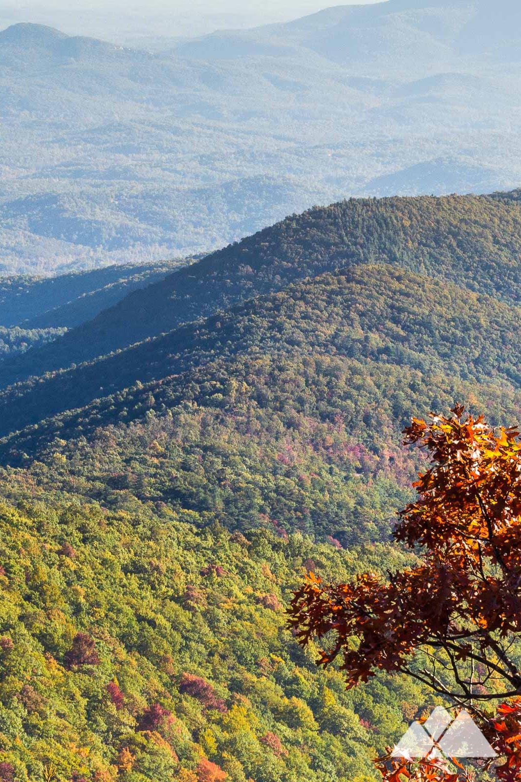 Appalachian Trail in Georgia - Atlanta Trails