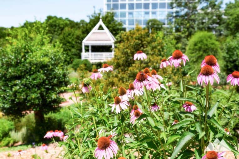 State Botanical Garden of Georgia: top places to run and hike in Athens, Georgia
