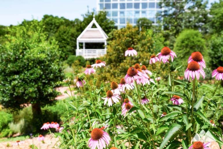 State Botanical Garden of Georgia: trail running & hiking near Athens