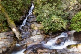 Dukes Creek Falls Trail in North Georgia