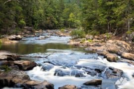 Sweetwater Creek State Park: top hiking trails