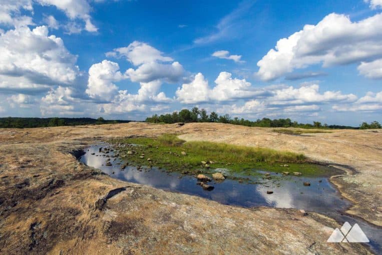 Atlanta's Best Hiking Trails our top 10 favorite hikes