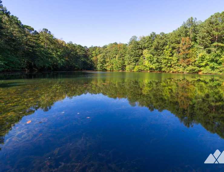 rottenwood creek atl