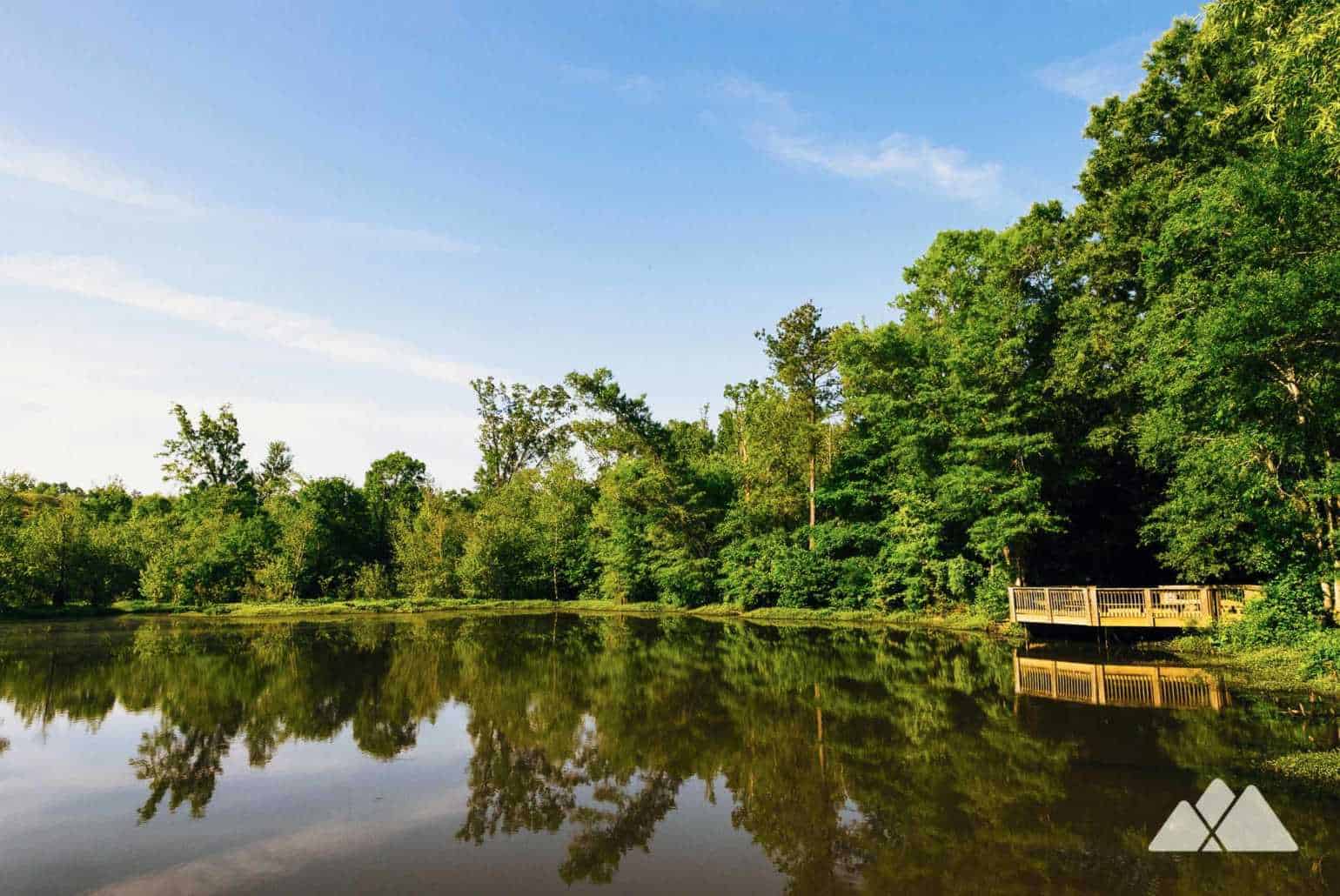 Doll's Head Trail at Constitution Lakes Park in Atlanta