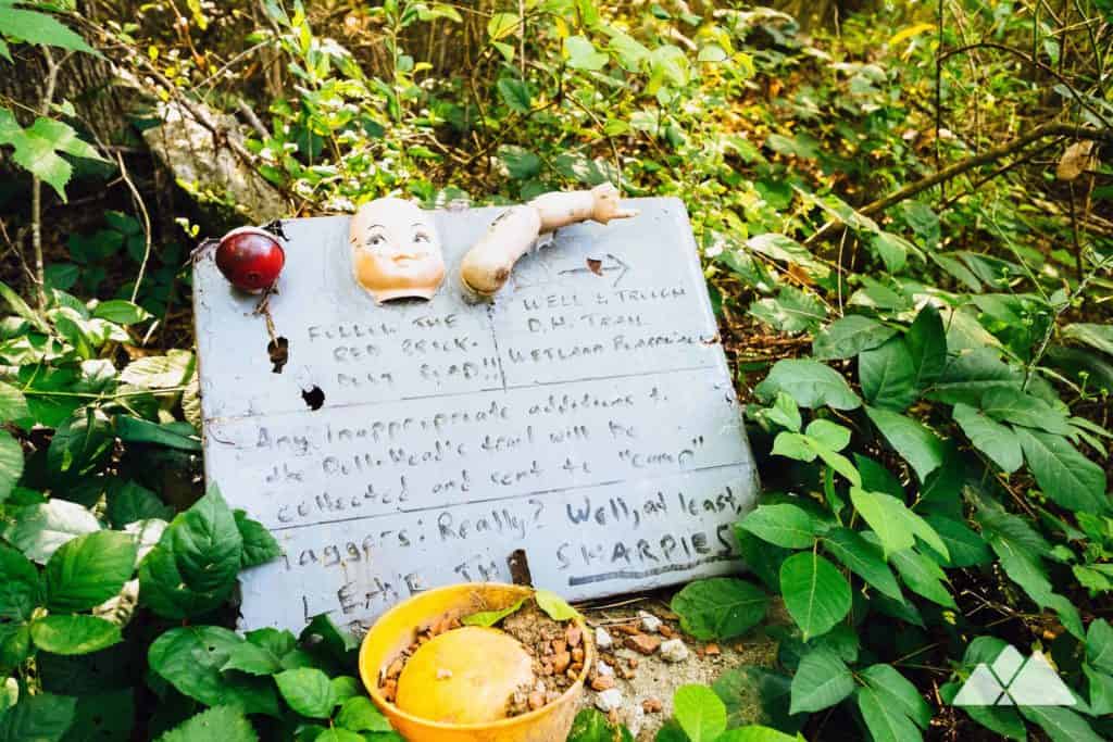 Doll's Head Trail at Constitution Lakes Park in Atlanta