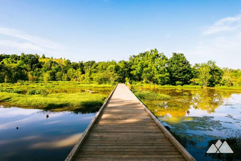 Doll's Head Trail at Constitution Lakes Park