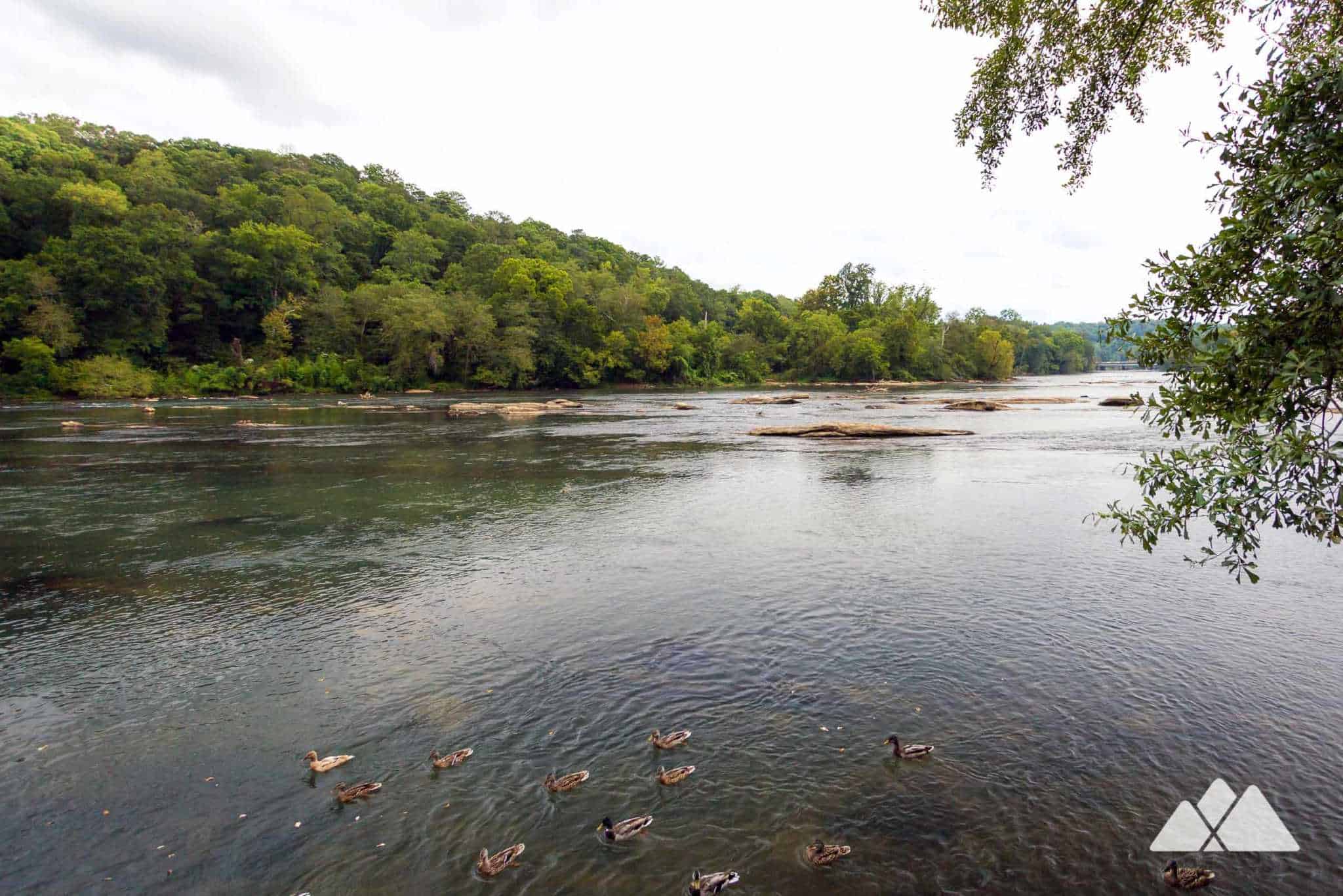 Chattahoochee River near Atlanta our top 10 favorite hiking trails