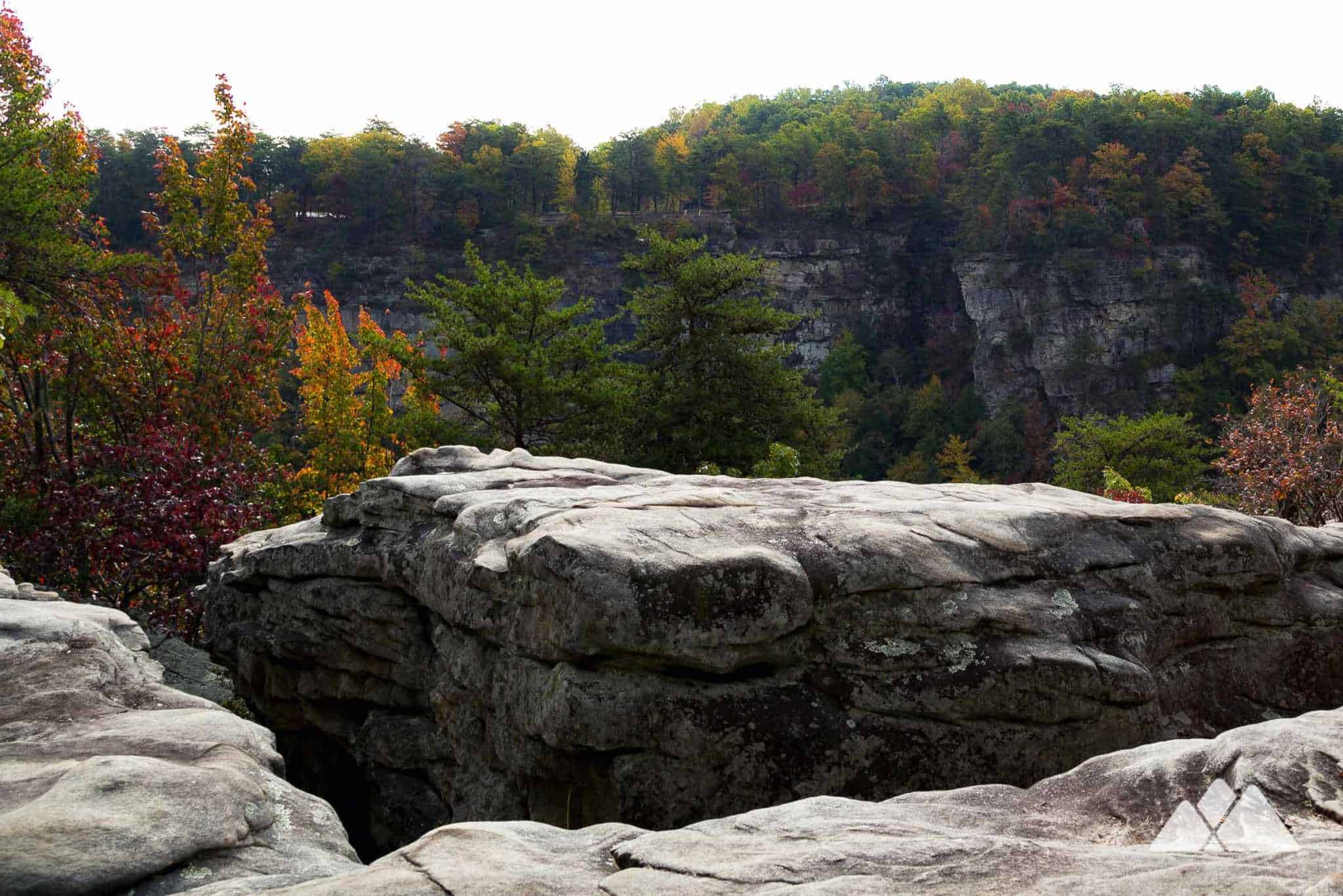 West Rim Loop Trail at Cloudland Canyon State Park