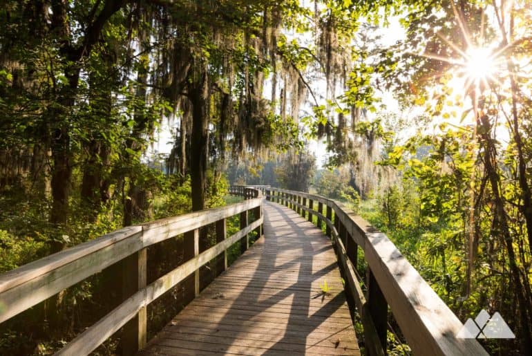 Phinizy Swamp Nature Park