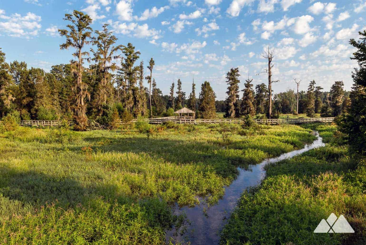 Phinizy Swamp Nature Park Boardwalk Trails