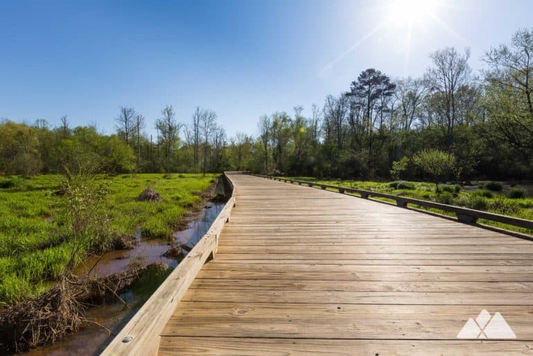 George Pierce Park: running the Ivy Creek Greenway