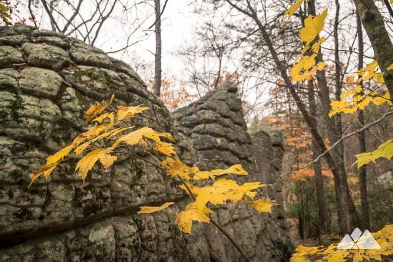 Rocktown Trail at Pigeon Mountain in North Georgia