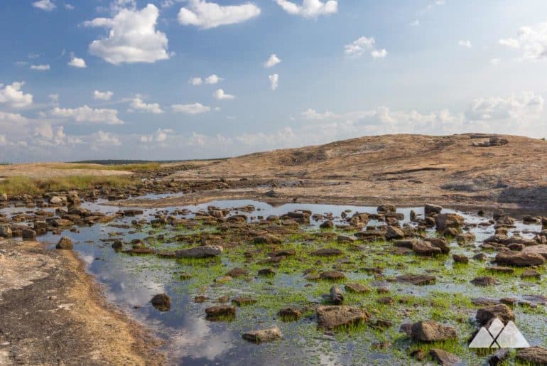 Arabia Mountain and Panola Mountain: our favorite hiking trails near Atlanta, GA