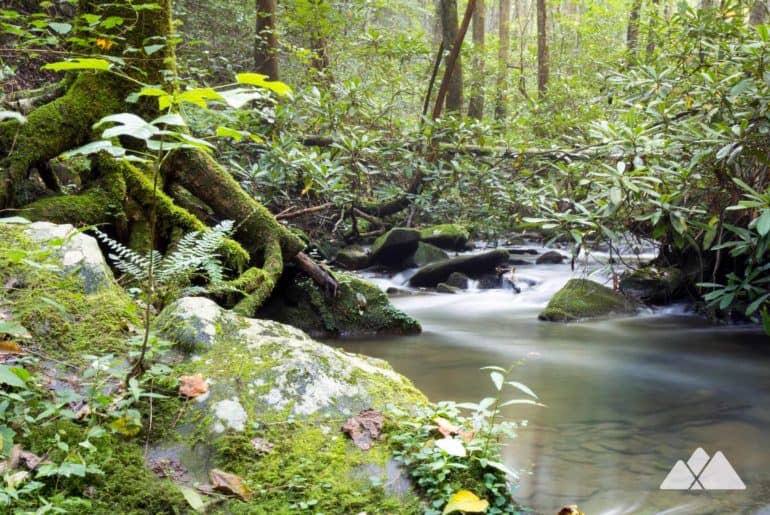 Bear Creek Trail