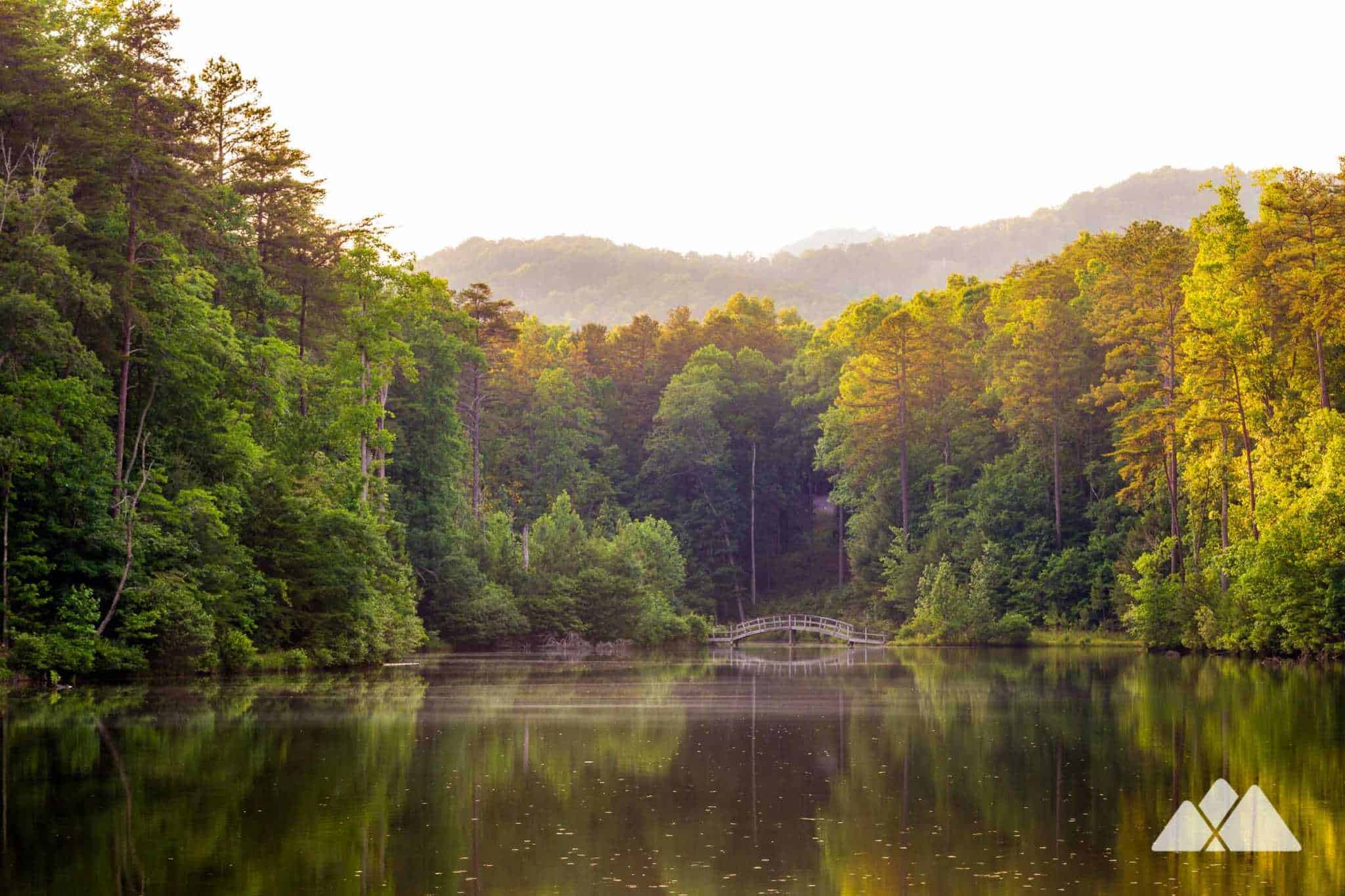 big-canoe-ga-hiking-trail-outdoor-adventure-guide