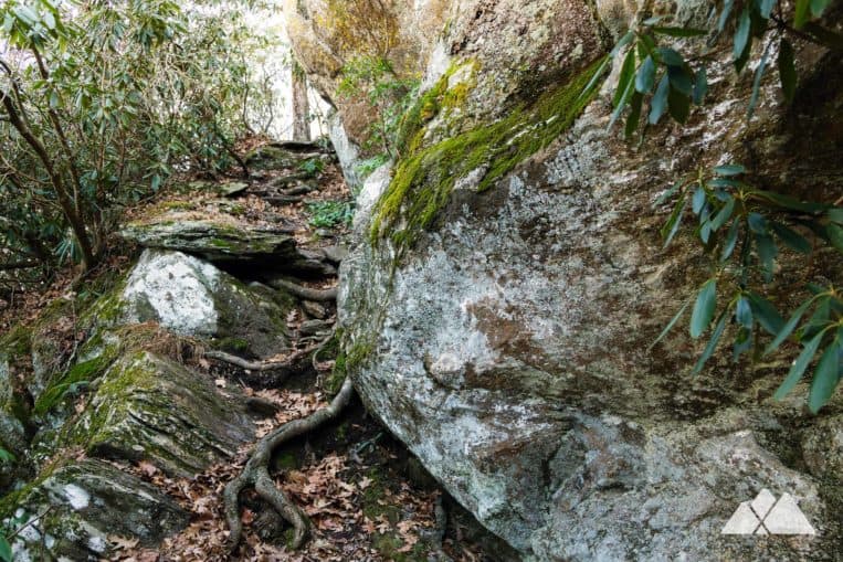 Brasstown Bald hiking the Arkaquah Trail to Track Rock Gap