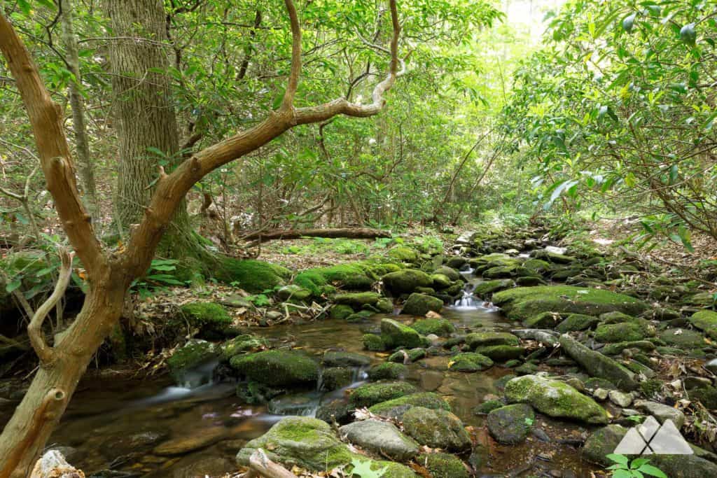 Neel Gap: Hiking the Byron Reece Trail