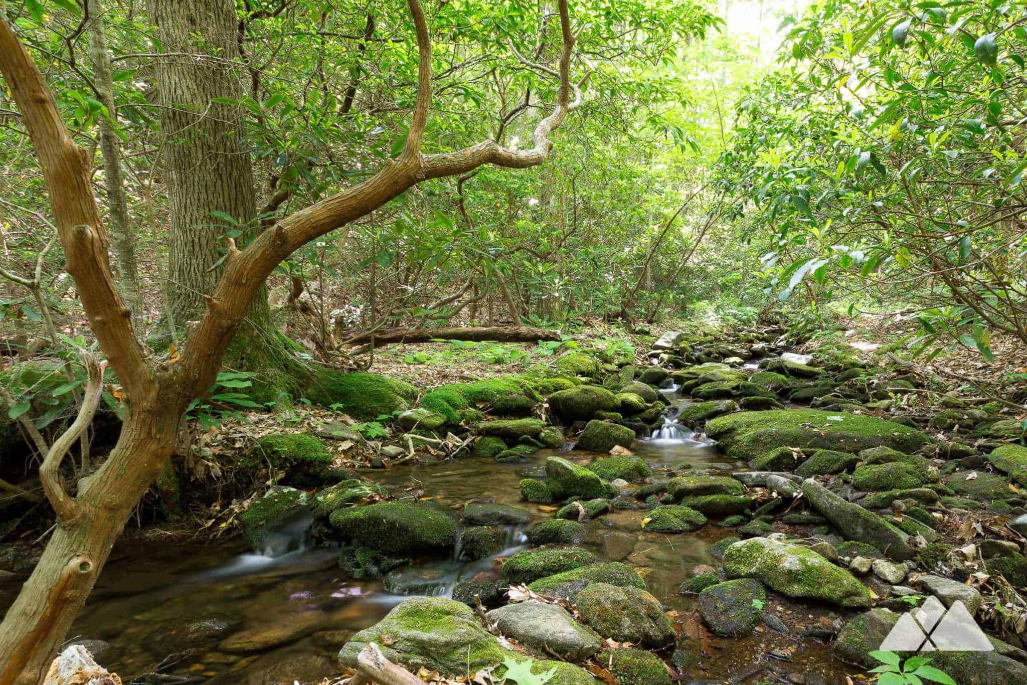 Neel Gap: Hiking the Byron Reece Trail