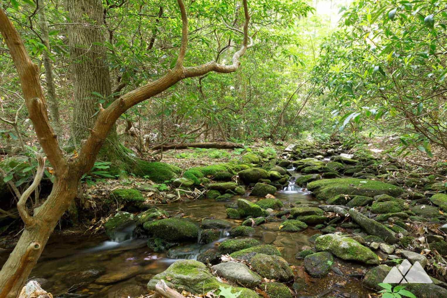 Neel Gap: Hiking the Byron Reece Trail