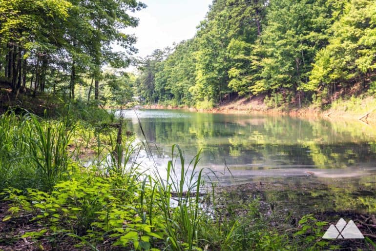 Carters Lake Oak Ridge Nature Trail