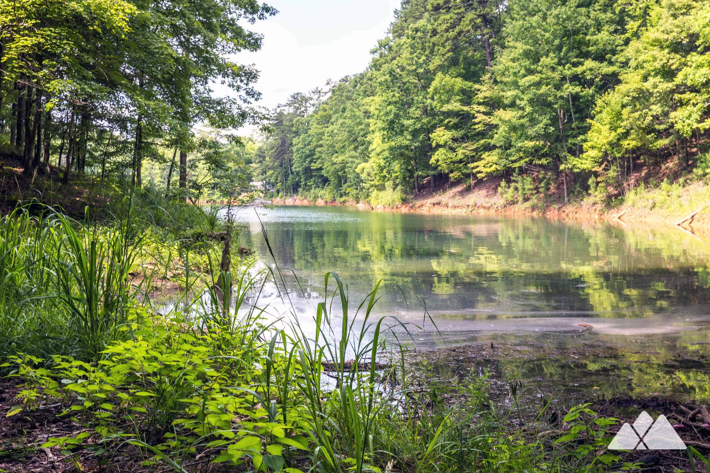 Carters Lake Oak Ridge Nature Trail Atlanta Trails