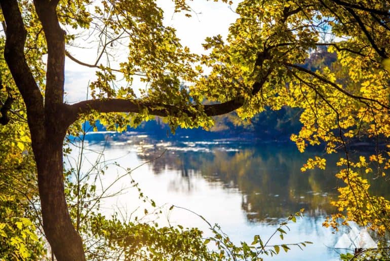 Chattahoochee Bend Riverside Trail