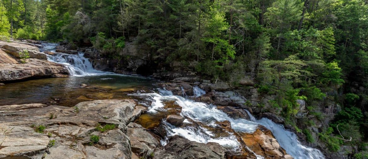 Cohutta Wilderness hiking & backpacking guide