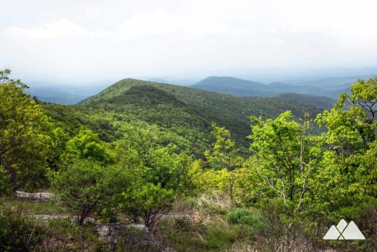 Cowrock Mountain: Appalachian Trail from Blood Mountain