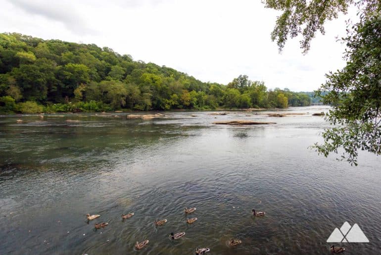 Island Ford Park on the Chattahoochee River