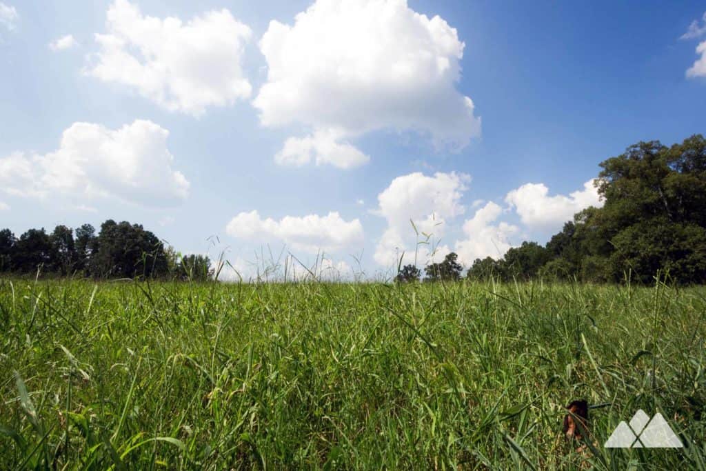 Kennesaw Mountain Battlefield Trail - Kennesaw Mountain Battlefield Trail 01 1024x683 
