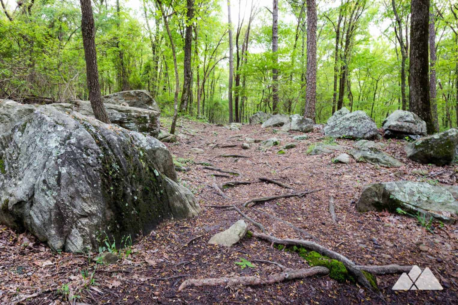 Kennesaw Mountain Environmental Trail Atlanta Trails