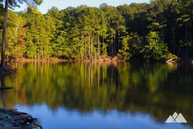 Lake Allatoona: our favorite biking, trail running and hiking trails