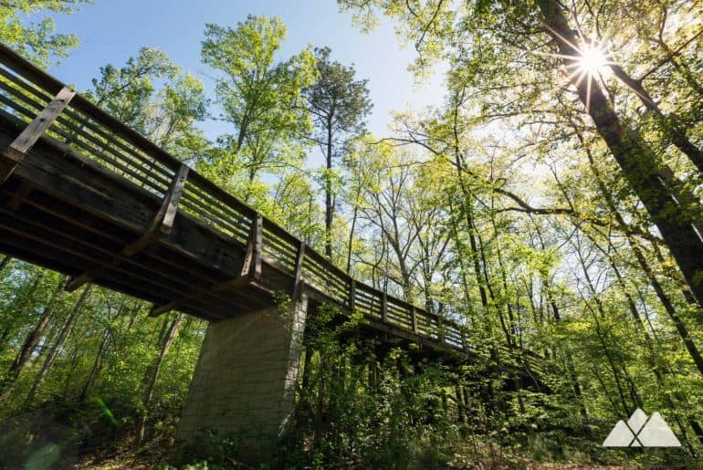 Dog Park Worman S Mill Dog Park Worman S Mill