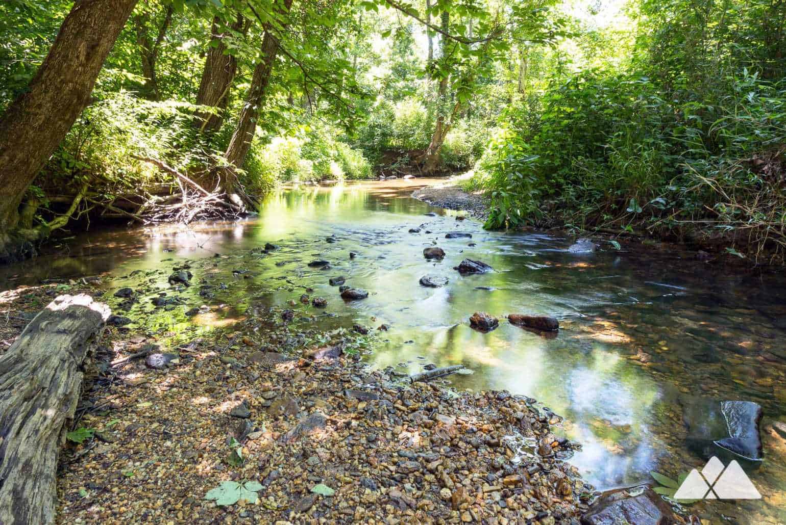 Pine Log Creek Trail & Quarry Atlanta Trails