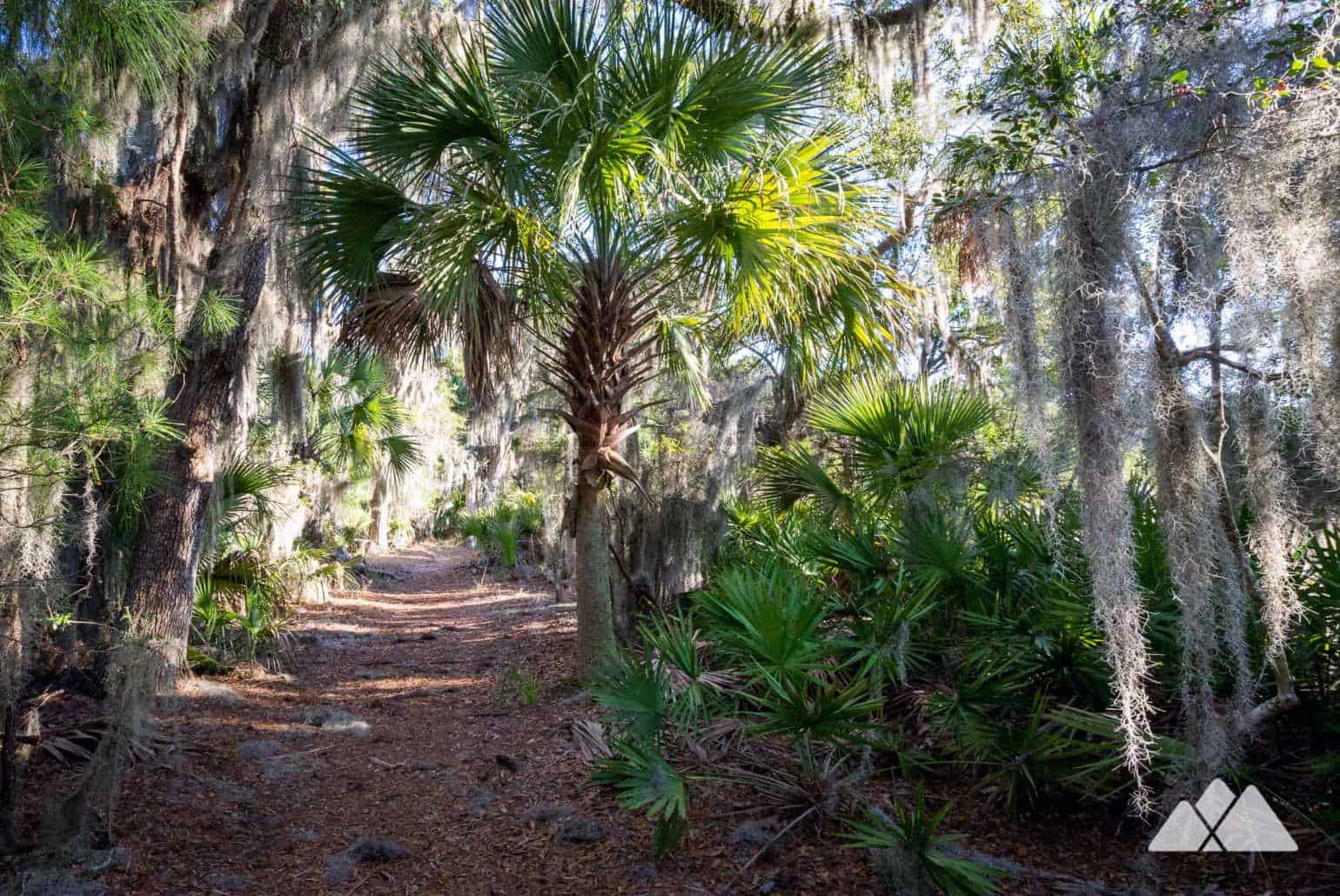 Skidaway Island Trail hiking coast near Savannah