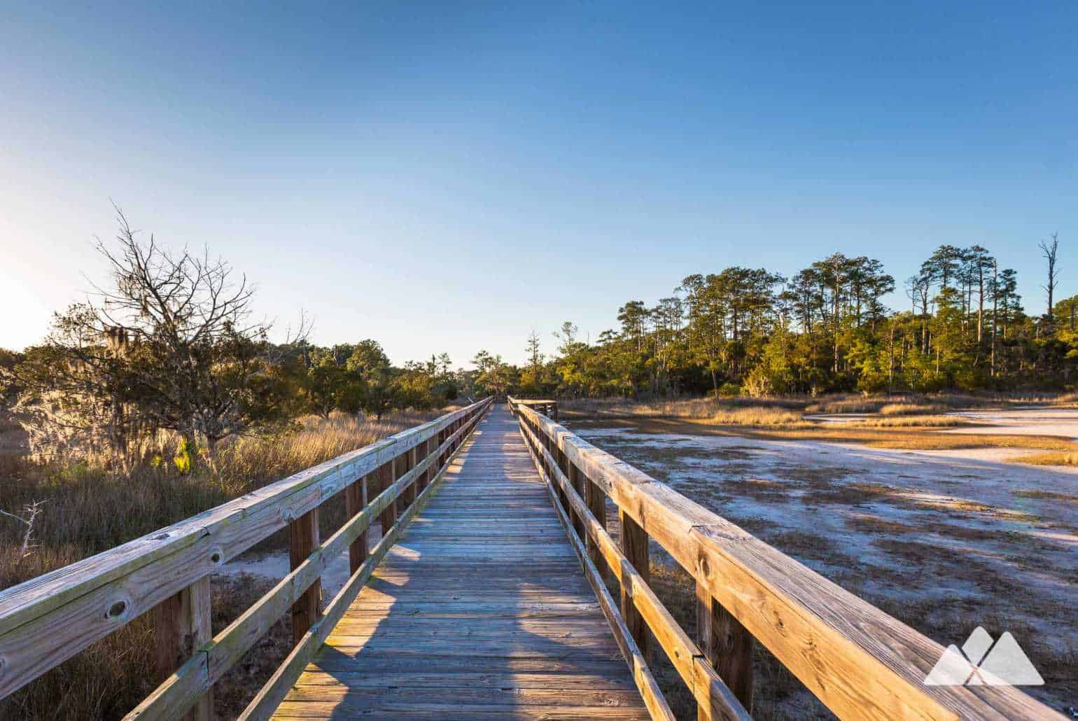 Skidaway Island State Park hiking the Sandpiper Trail & Avian Loop