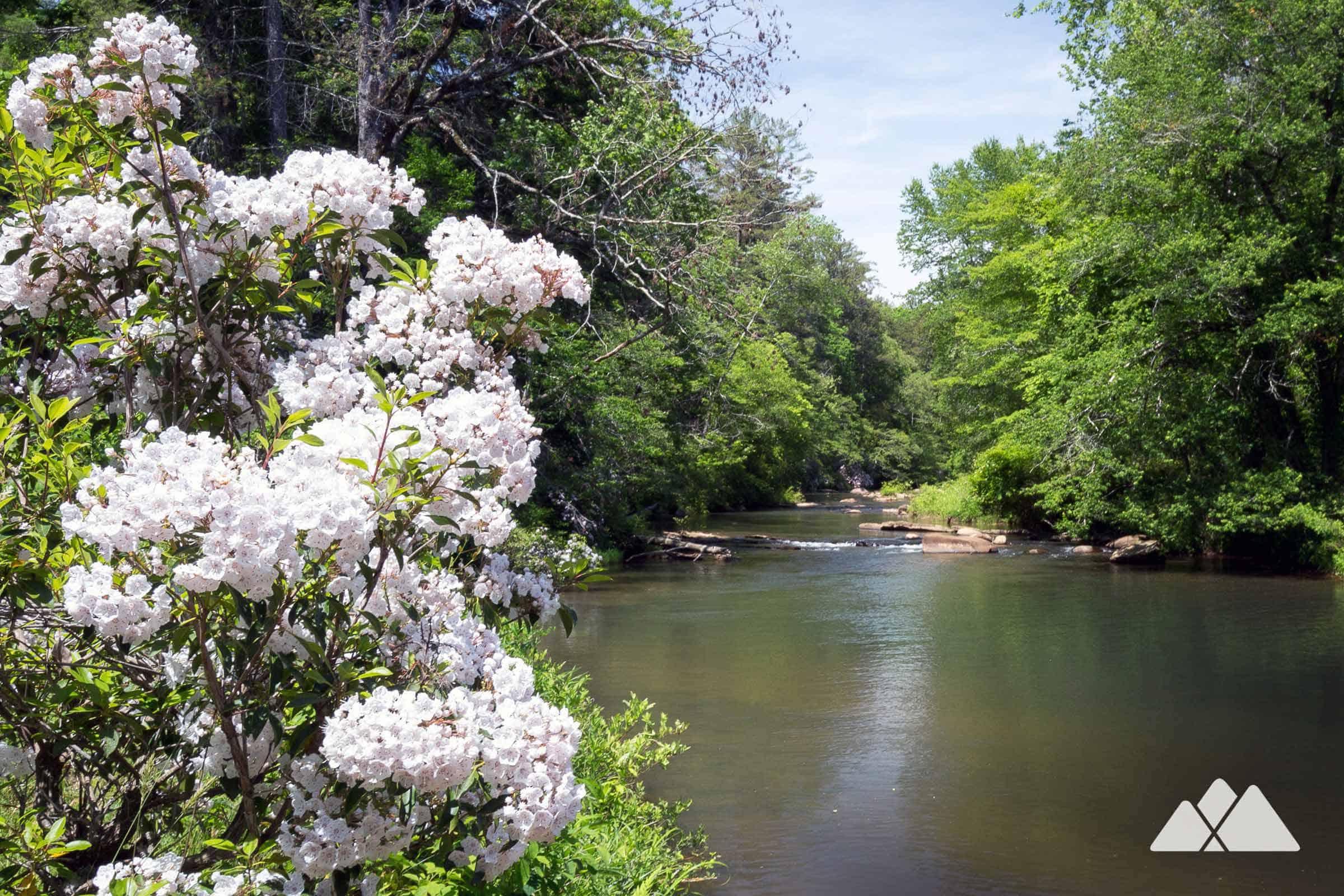 Tallulah Gorge State Park running - Tallulah Gorge State Park Shortline Trail 02 