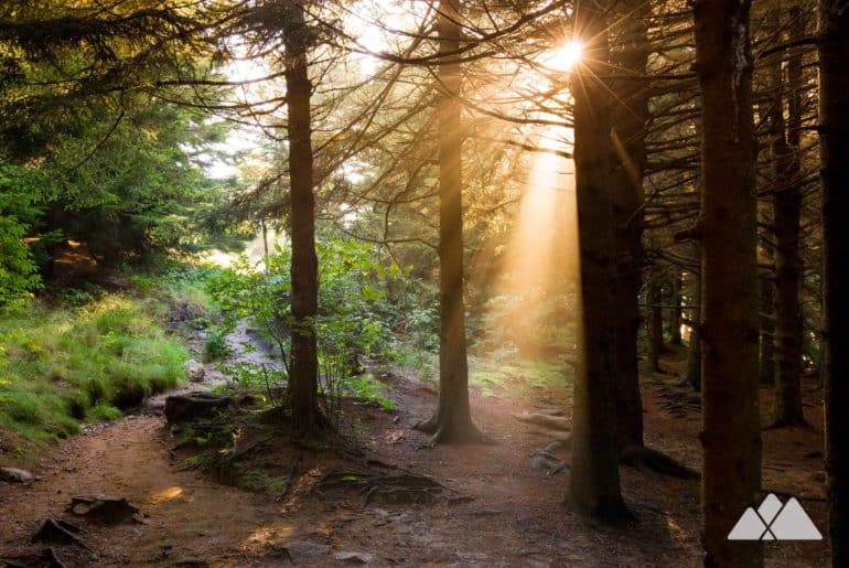 Trail Running beginner’s guide