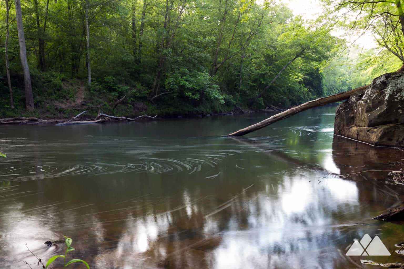 Yellow River Park Atlanta Trails