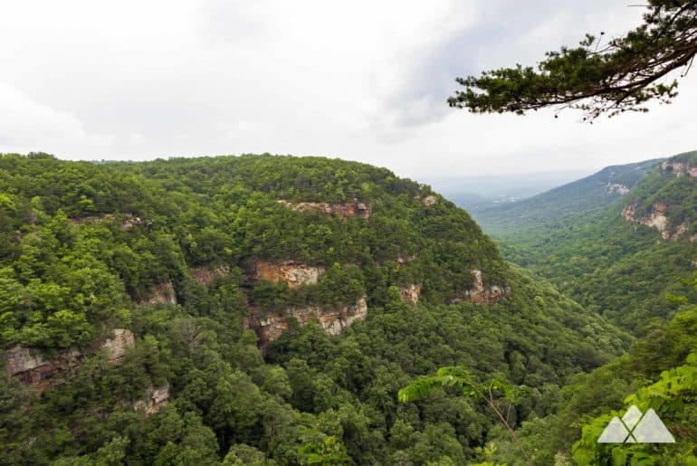 Georgia canyons: our favorite hikes