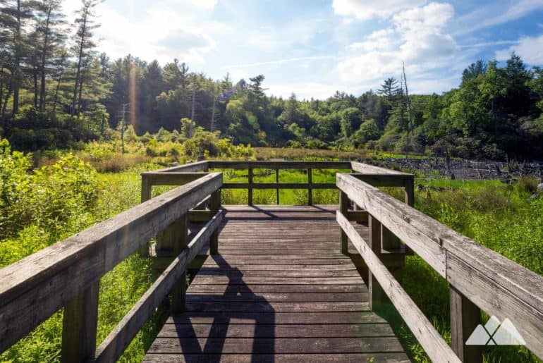 Songbird Trail at Lake Conasauga