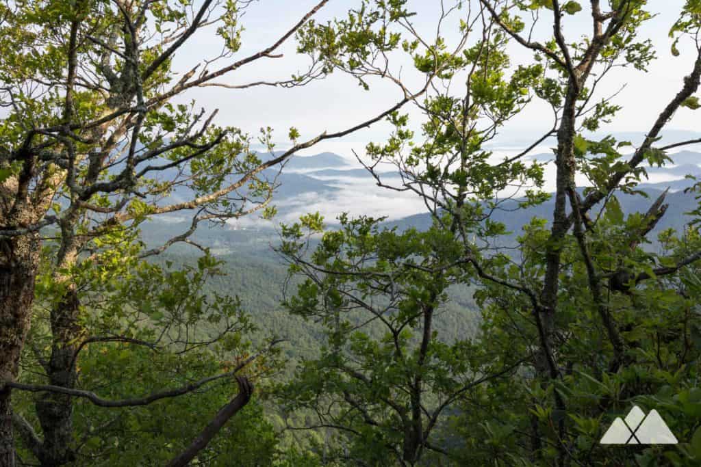 Arkaquah Trail at Brasstown Bald hiking to Track Rock Gap