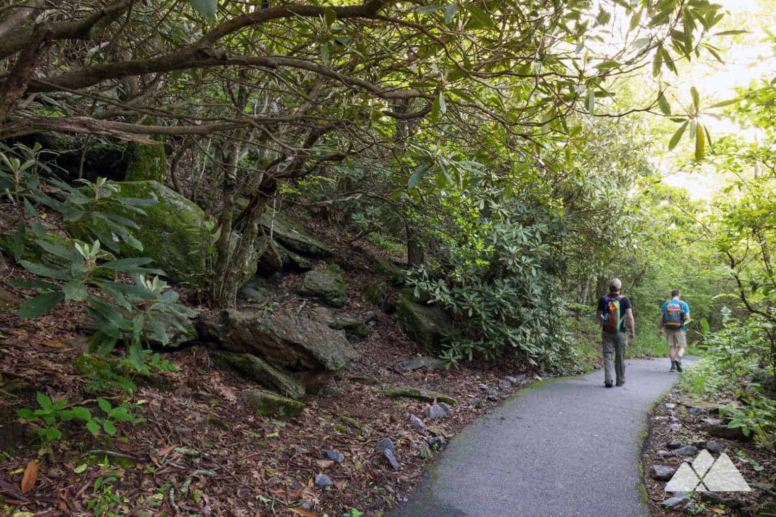 Brasstown Bald Atlanta Trails