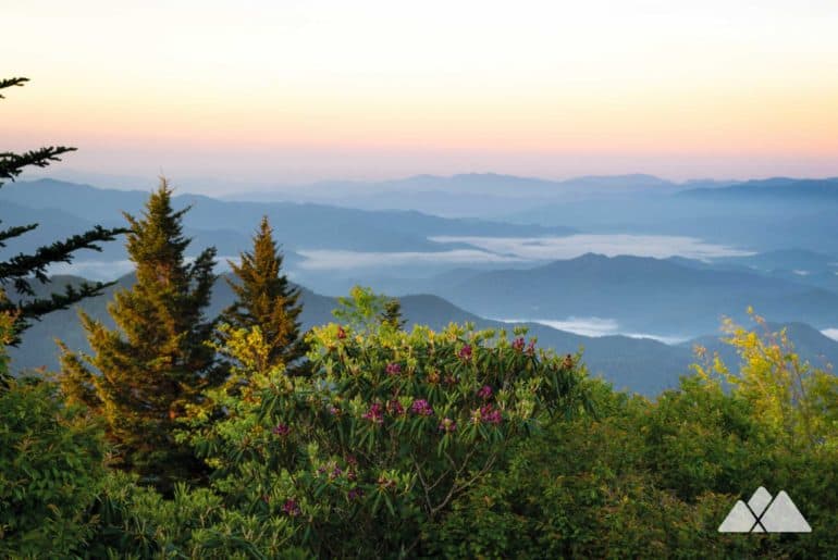 Smoky Mountains hiking: our favorite road trip worthy trails