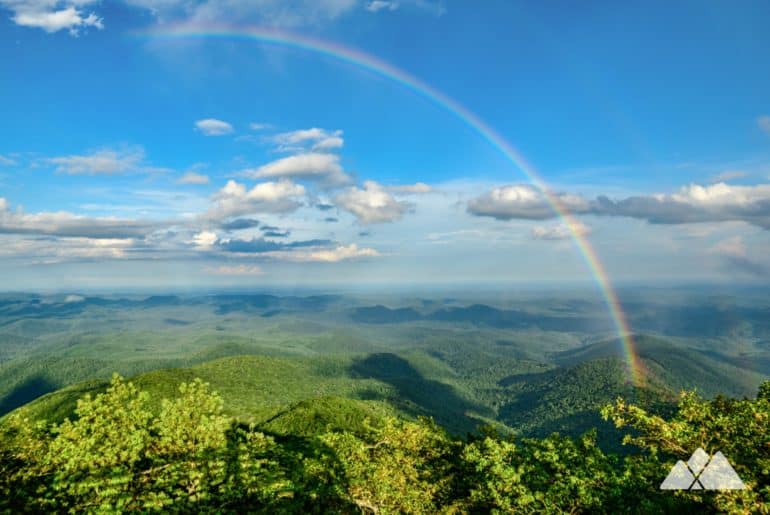 Bartram Trail in Georgia