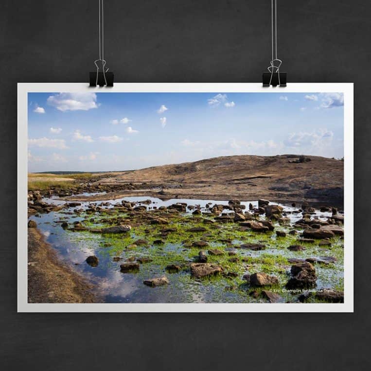 Atlanta Trails Arabia Mountain Photo Art Print
