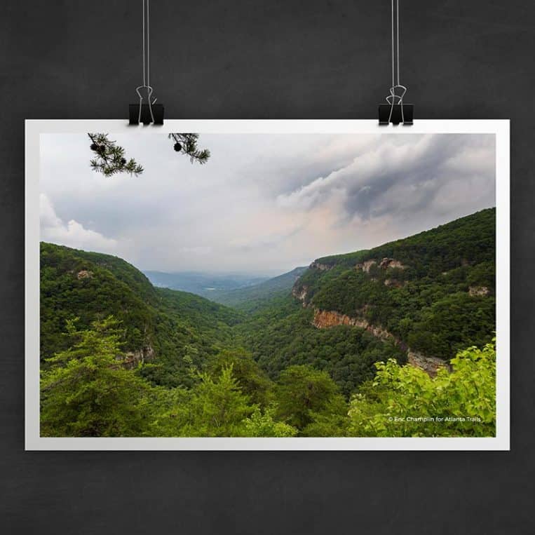 Atlanta Trails Cloudland Canyon Photo Art Print