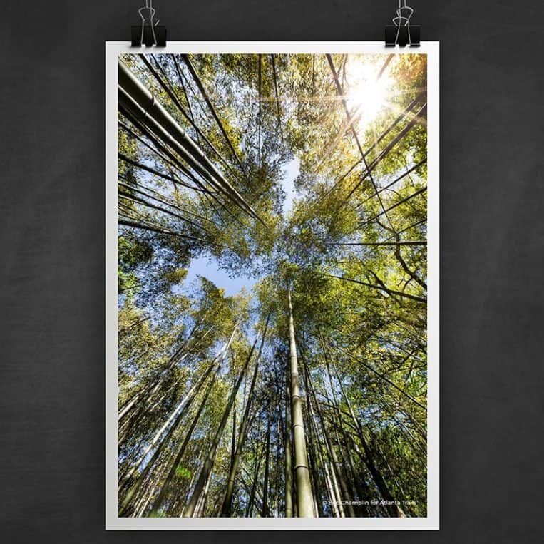 Atlanta Trails East Palisades Photo Art Print